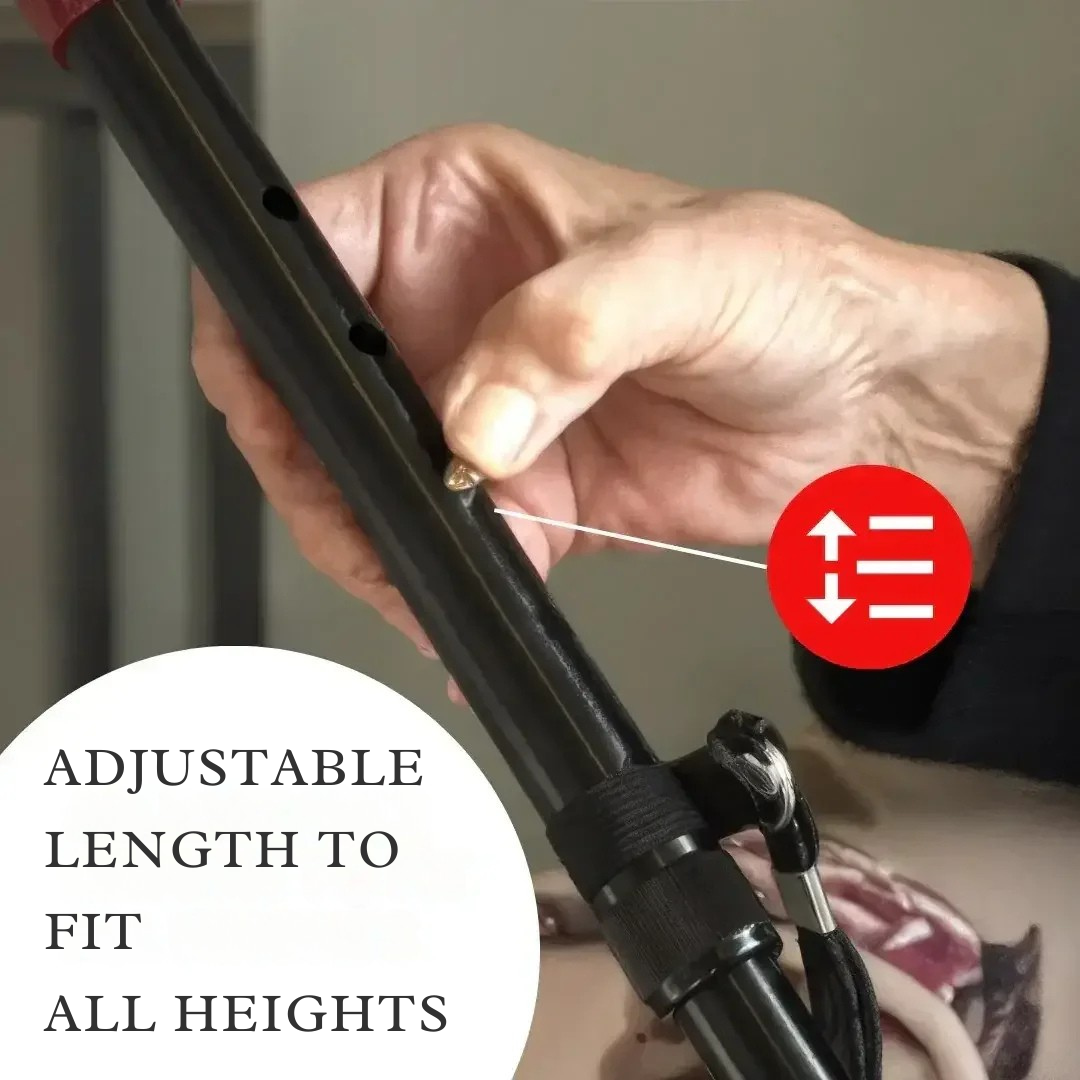 BalanceGuard Elite -  Independence System in Motion