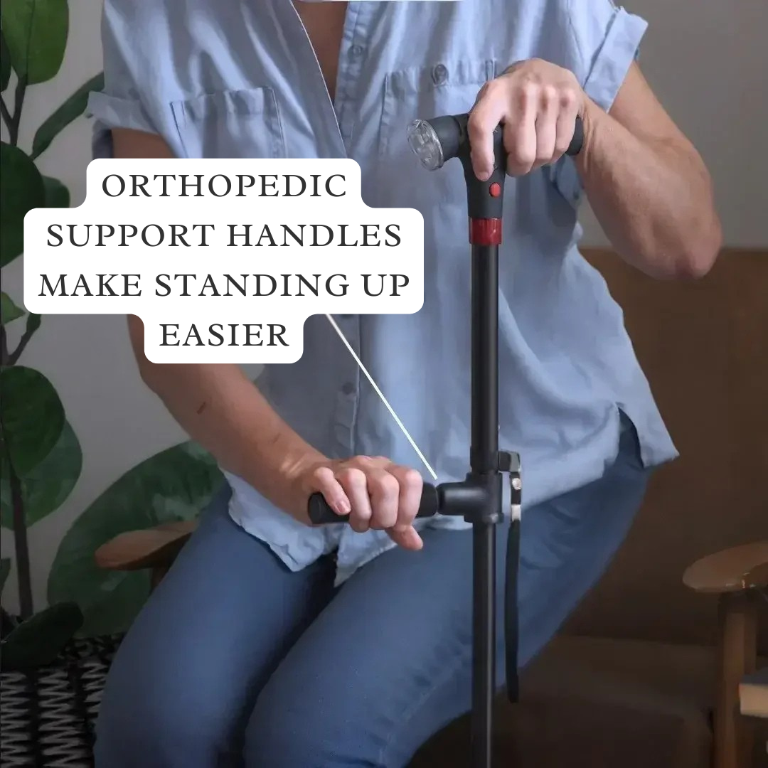 BalanceGuard Elite -  Independence System in Motion